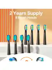 Белый электрическая зубная щетка Bitvae D2 Daily Toothbrush (D2) ,GLOBAL