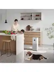 Очиститель воздуха Xiaomi (Mi) Smart Air Purifier 4 Pro (AC-M15-SC)