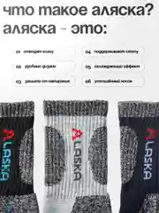 Термоноски мужские "Аляска", носки теплые шерстяные