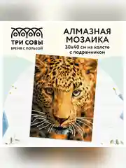 Алмазная мозаика ТРИ СОВЫ "Взгляд охотника", 30х40 см, холст на деревянном подрамнике