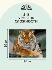 Алмазная мозаика ТРИ СОВЫ "Тигр", 30х40 см, холст, картонная коробка с пластиковой ручкой