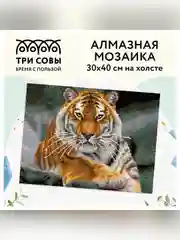 Алмазная мозаика ТРИ СОВЫ "Тигр", 30х40 см, холст, картонная коробка с пластиковой ручкой