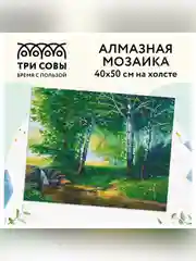 Алмазная мозаика ТРИ СОВЫ "Березовая роща", 40х50 см, холст