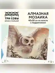 Алмазная мозаика ТРИ СОВЫ "Полярная сова", 40х50 см, холст на деревянном подрамнике