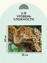 Алмазная мозаика ТРИ СОВЫ "Хищник", 40х50см, холст, картонная коробка с пластиковой ручкой