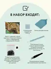 Алмазная мозаика ТРИ СОВЫ "Хищник", 40х50см, холст, картонная коробка с пластиковой ручкой