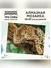 Алмазная мозаика ТРИ СОВЫ "Хищник", 40х50см, холст, картонная коробка с пластиковой ручкой
