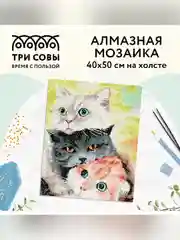 Алмазная мозаика Три совы "Друзья", холст, 40х50 см