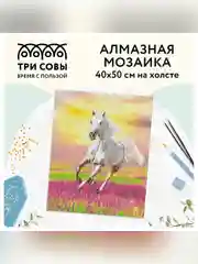 Алмазная мозаика Три совы "Свобода", холст, 40х50 см