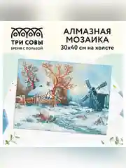 Алмазная мозаика ТРИ СОВЫ "Зима в деревне", 30х40 см, холст