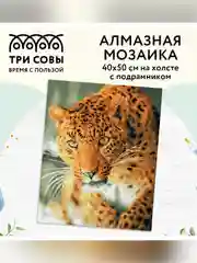 Алмазная мозаика ТРИ СОВЫ "Леопард", 40х50 см, холст на деревянном подрамнике