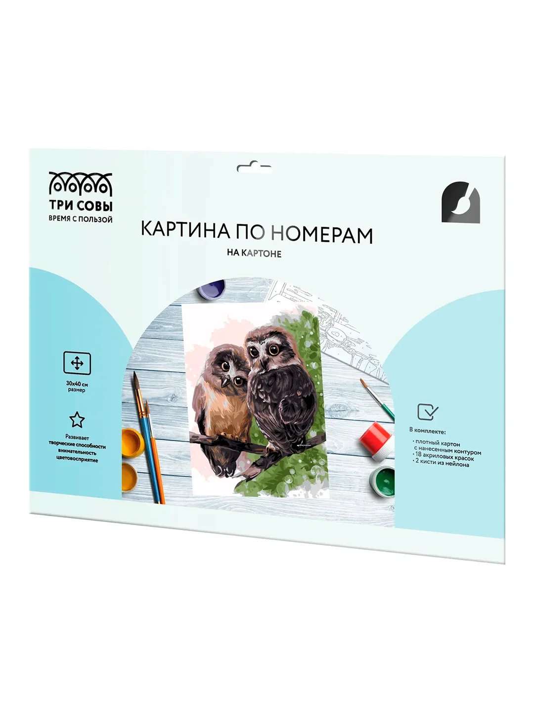 Картина по номерам на картоне ТРИ СОВЫ "Совы", 30х40 см, с акриловыми красками и кистями