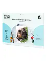 Картина по номерам на картоне ТРИ СОВЫ "Совы", 30х40 см, с акриловыми красками и кистями
