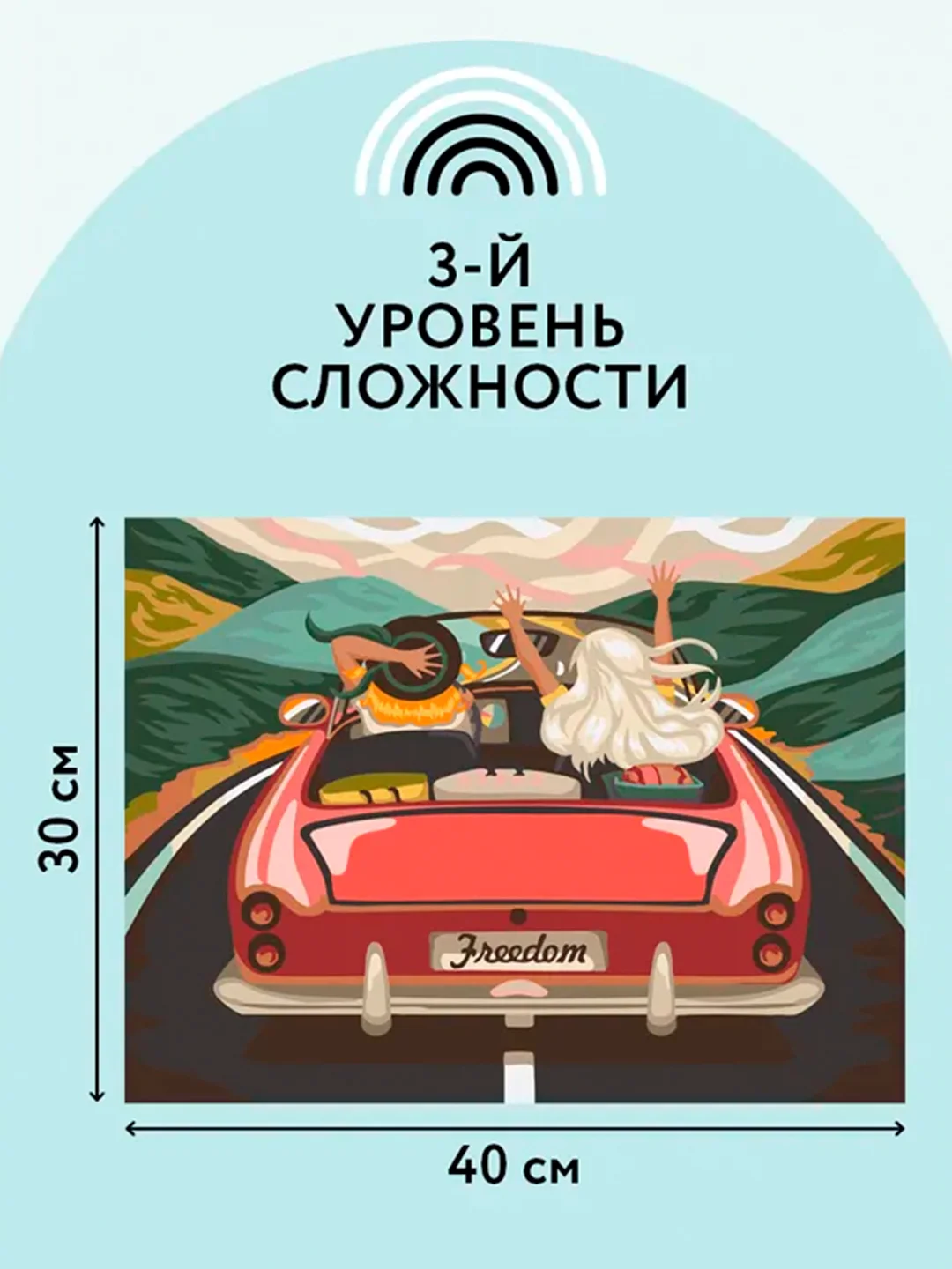 Картина по номерам ТРИ СОВЫ В лето на кабриолете, 30х40см, с акриловыми красками и кистями
