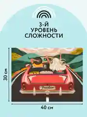 Картина по номерам ТРИ СОВЫ В лето на кабриолете, 30х40см, с акриловыми красками и кистями