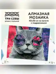 Алмазная мозаика ТРИ СОВЫ "Кошачий космос", 40х50 см, холст на деревянном подрамнике