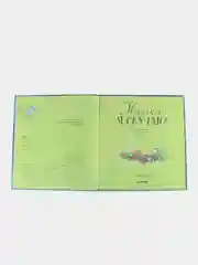 Книжки-картинки. Мишка, я скучаю!
