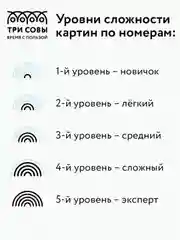 Картина по номерам на картоне Три совы "Анютины глазки", с красками и кистями, 30х40