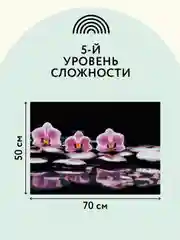 Алмазная мозаика Три совы "Пионы", холст, картонная коробка с пластиковой ручкой, 50х70 см