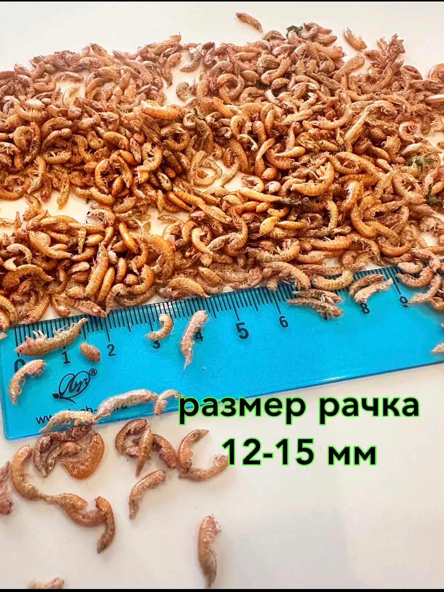 Гаммарус крупный просеянный "ОБОЖАЙКА", 60 г, корм для черепах
