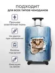 Ледяной чехол на чемодан, чехол для чемодана