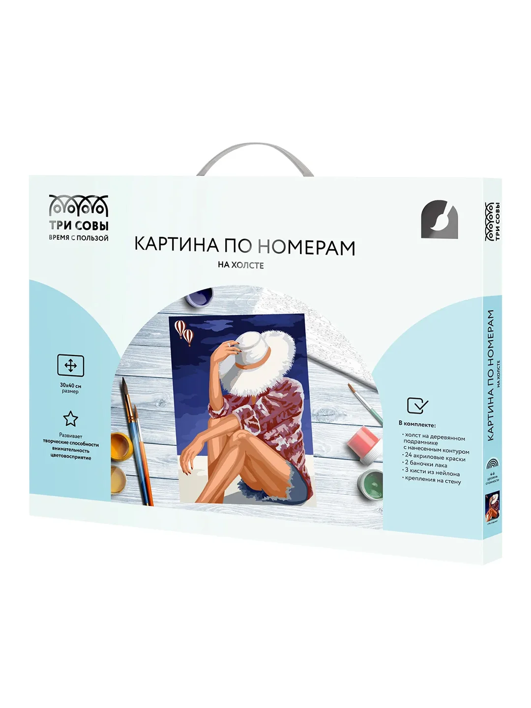 Картина по номерам на холсте Три совы "На отдыхе", с красками, кистями, 30х40 см