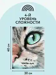 Картина по номерам на холсте Три совы "Кошачий взгляд", с красками и кистями, 30х40 см