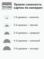 Картина по номерам на холсте Три совы "Кошачий взгляд", с красками и кистями, 30х40 см