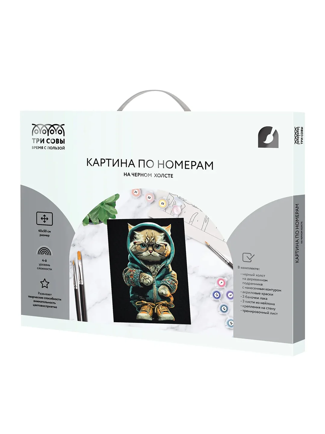 Картина по номерам Три совы "Стильный кот", c красками и кистями, 40х50 см
