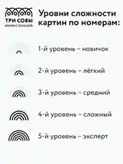 Картина по номерам на холсте Три совы "Прикосновения", с красками и кистями, 40х50 см