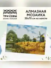 Алмазная мозаика Три совы "Мельницы", холст, 50х70 см