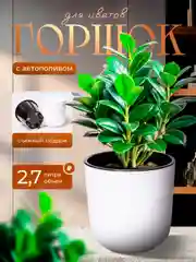 Белый горшок для цветов с автополивом, кашпо для растений, вазон с поддном