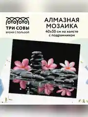 Алмазная мозаика Три совы "Спокойствие", холст на деревянном подрамнике, 40х50 см