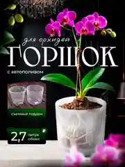 Прозрачный горшок для цветов с автополивом, кашпо для растений, вазон с поддном
