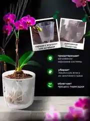 Прозрачный горшок для цветов с автополивом, кашпо для растений, вазон с поддном