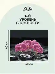 Алмазная мозаика Три совы "Орхидея", холст, 40х50 см