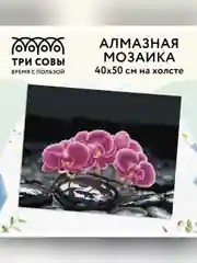 Алмазная мозаика Три совы "Орхидея", холст, 40х50 см