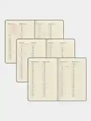 Ежедневник датированный 2025 Brauberg, планер планинг записная книжка А5, под кожу