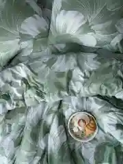 Зеленый комплект постельного белья Вселенная текстиля, 4826, 2-x спальный с простыней Евро
