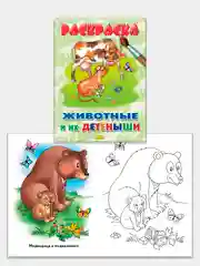 Комплект из 5 раскрасок для детей дошкольного возраста