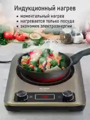 Коричневый электрическая индукционная плитка STINGRAY ST-HP3505A латунный