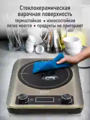 Коричневый электрическая индукционная плитка STINGRAY ST-HP3505A латунный
