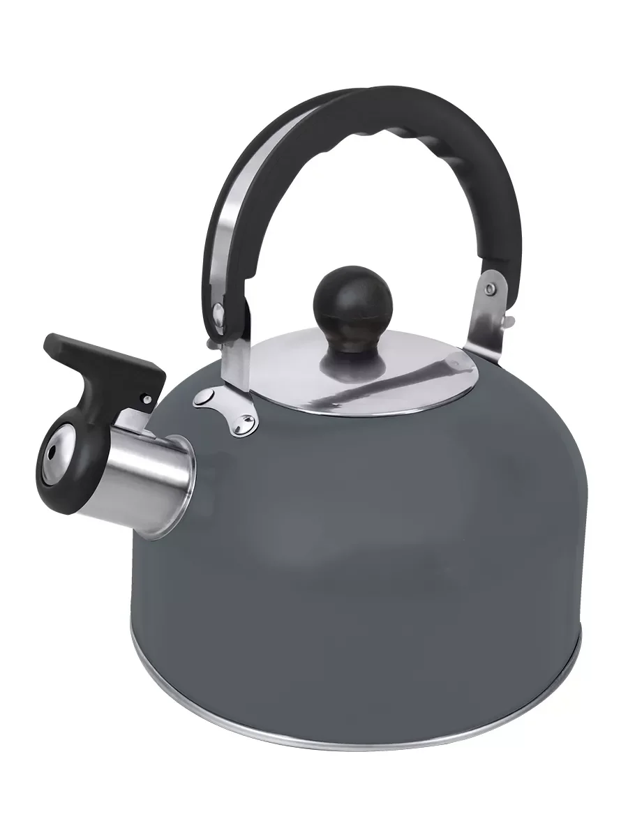 Серый металлик чайник со свистком HOME ELEMENT HE-WK1604B, темно-серый матовый