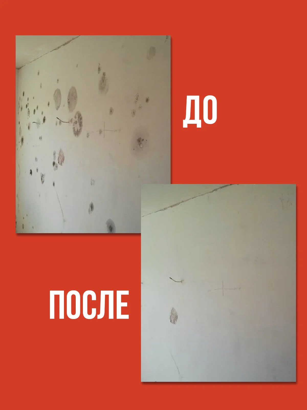 Средство от плесени на стенах и в ванной комнате, концентрат, 1 л