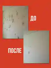 Средство от плесени на стенах и в ванной комнате, концентрат, 1 л