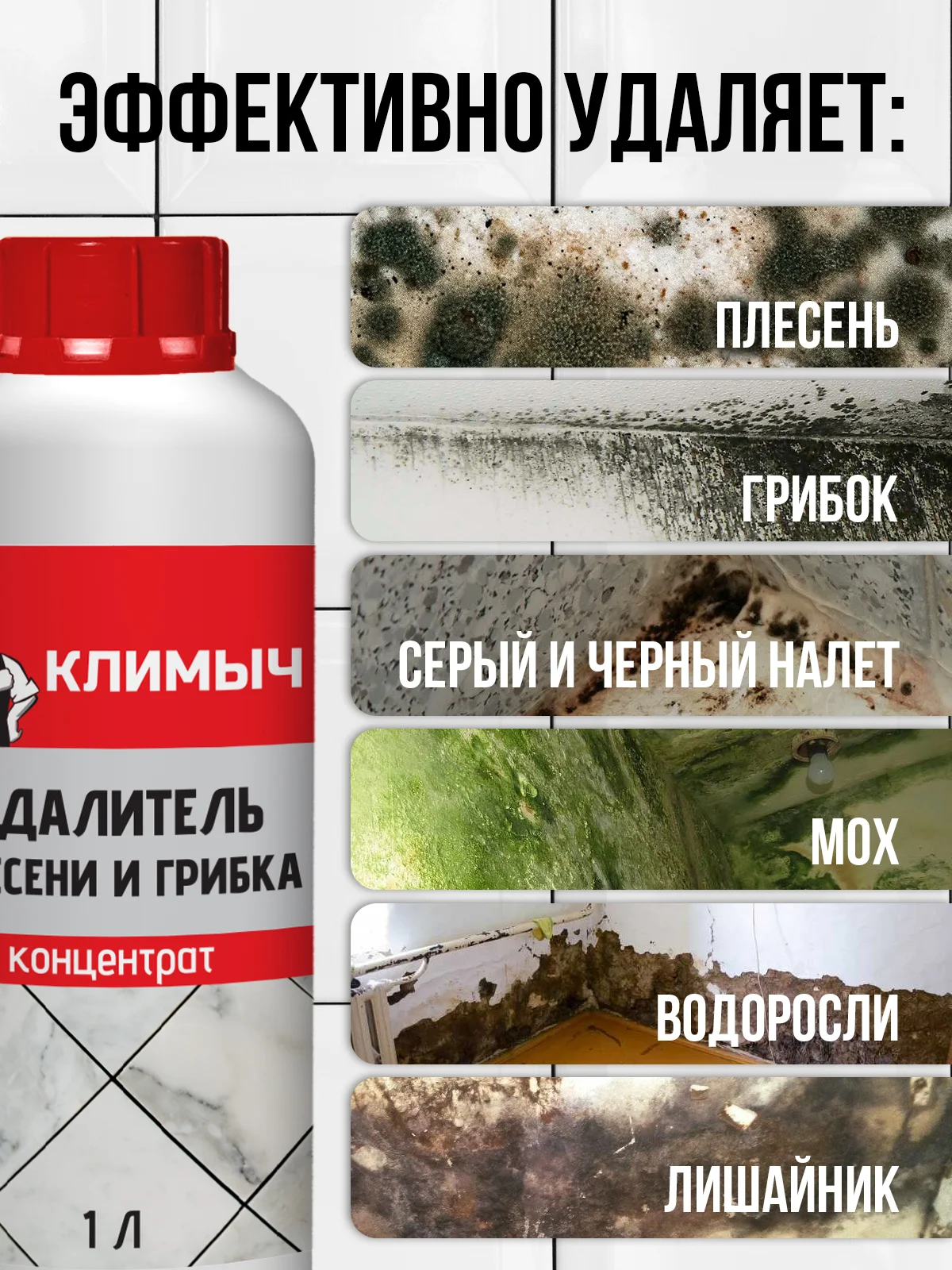 Средство от плесени на стенах и в ванной комнате, концентрат, 1 л