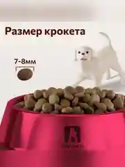 Сухой корм Zoogurman Sensitive Ягненок с рисом, для малых и средних пород, 10 кг