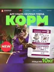Полнорационный сухой корм Zoogurman Big Cats, 10 кг
