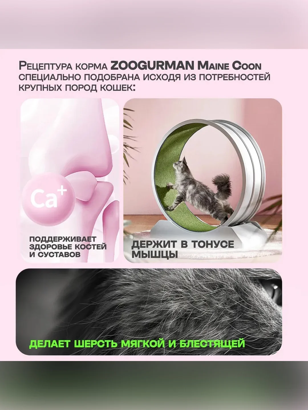 Полнорационный сухой корм Zoogurman Big Cats, 10 кг