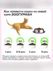 Полнорационный сухой корм Zoogurman Big Cats, 10 кг